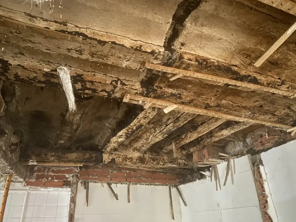 Rehabilitación de vivienda en San Lázaro en Ezcaray